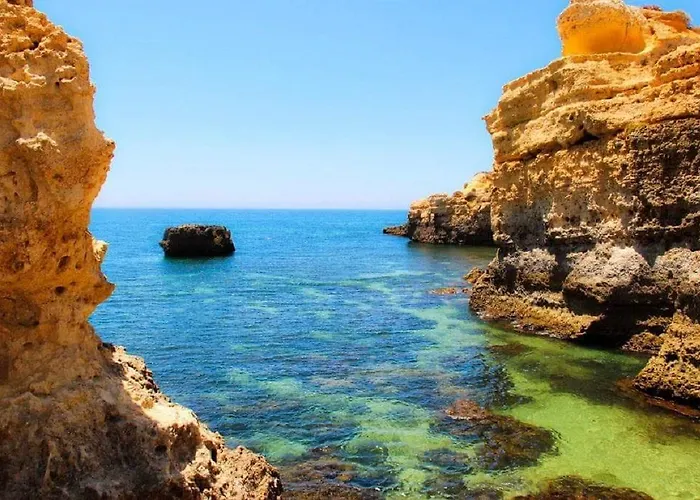 Apartment Monte Dourado